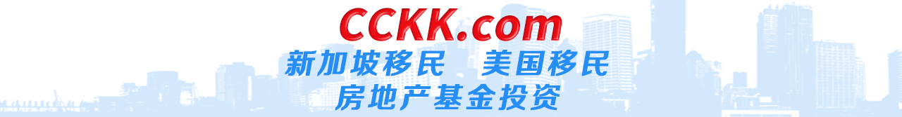 NEW HOME INVESTMENT CONSULTANT